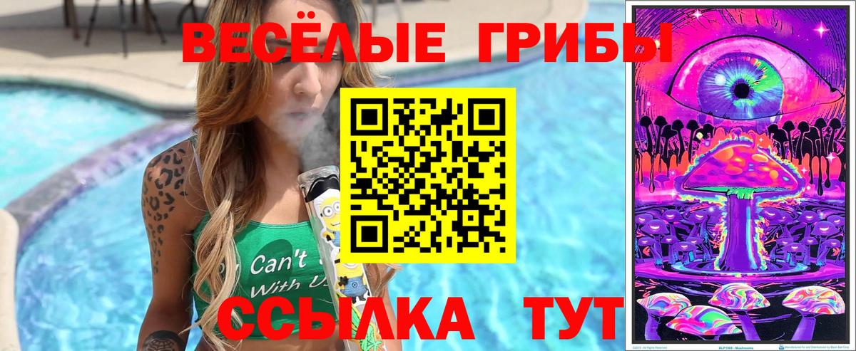 Галлюциногенные грибы прущие грибы Рубцовск