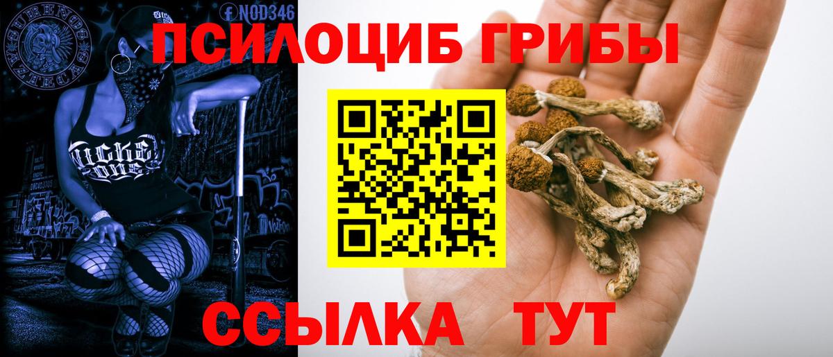 Галлюциногенные грибы прущие грибы  Вход с VPN  Рубцовск 